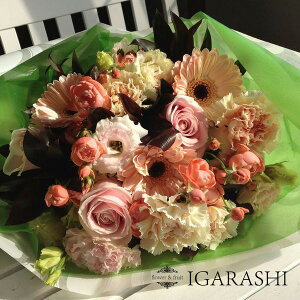 ԑ u[P  Mtg a NX}X H ސE v[g LO o t[  ސEj [sA ԉ