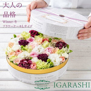 y t[P[L LTCY z  Mtg a NX}X ~ ސE v[g t[{bNX AWg t[ o J[l[V j 蕨  j AW t