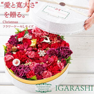 y t[P[L LTCY z  Mtg a NX}X H ސE v[g t[{bNX AWg t[ o J[l[V j 蕨  j  ސEj