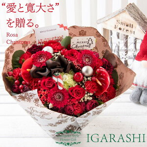 y t[AWg ԑ z  Mtg a NX}X H ސE v[g AWg t[ o J[l[V u[P j 蕨  JXj w җ 