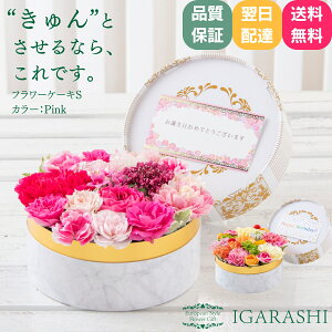 yyV3zy t[P[L STCY z  Mtg a NX}X H ސE sN v[g t[{bNX AWg t[ o J[l[V j 蕨  