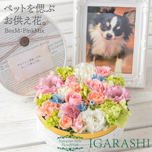 y   ybg z t[P[L MTCY ybgX ybgp ybg   { AWg  Mtg t[{bNX t[ AW t[