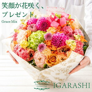 y t[AWg z  a NX}X H ސE v[g AWg t[ Mtg t[ o J[l[V u[P j 蕨  JXj AW 