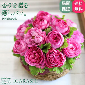 y sNõAW z  a NX}X ~ ސE Mtg v[g AWg t[ Mtg t[ j JXj  o sN ԉ