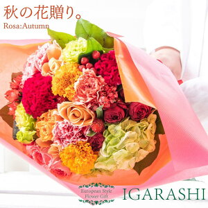 y t[AWg ԑ z  Mtg a nEB H ސE v[g AWg t[ o J[l[V u[P j 蕨  JXj j w 