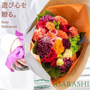 y t[AWg ԑ z  Mtg a nEB H ސE v[g AWg t[ o J[l[V u[P j 蕨  JXj w җ 