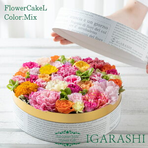 y v[g t[P[L Lz t[AWg  Mtg H v[g t[{bNX AWg t[ o J[l[V j 蕨  t[Mt