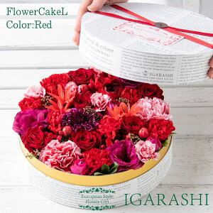 �y �t�����[�P�[�L L�T�C�Y �z �� �M�t�g �a���� �N���X�}�X �~ �v���[���g �t�����[�{�b�N�X �A�����W�����g �t�����[ �o�� �J�[�l�[�V���� ���j�� ���蕨 ������� ���j�� �A�����W �t����