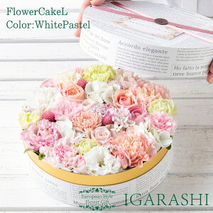 y t[P[L LTCY z  Mtg a NX}X H v[g t[{bNX AWg t[ o J[l[V j 蕨  j AW t