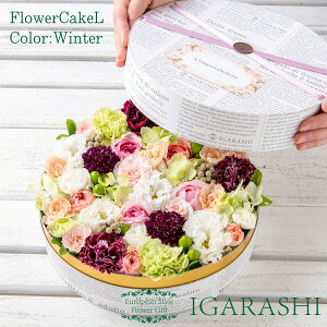 y v[g t[P[L Lz t[AWg  Mtg H v[g t[{bNX AWg t[ o J[l[V j 蕨  t[Mt