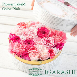 y t[P[L MTCY z  Mtg a NX}X H ސE t[ o J[l[V j 蕨  v[g t[{bNX AWg t[Mtg J