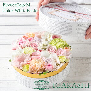 yyV3zy t[P[L MTCY z  Mtg a NX}X H ސE t[ o J[l[V j  v[g t[{bNX AWg t[Mtg 