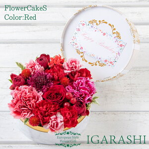 yyV3zy t[P[L STCY z  Mtg a NX}X ~ ސE sN v[g t[{bNX AWg t[ o J[l[V j 蕨  