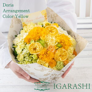 y t[AWg ԑ z  Mtg a NX}X H ސE Mtg  v[g AWg t[ o J[l[V u[P j 蕨  Mtg 