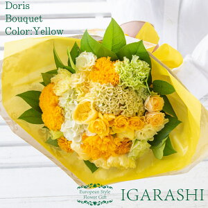 yԗDǃVbv34zy t[AWg ԑ z  Mtg a NX}X H ސE  v[g AWg t[ o J[l[V u[P j 蕨 