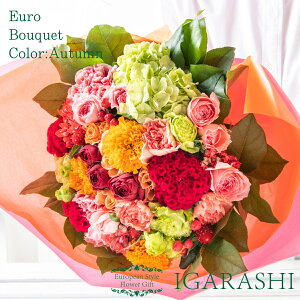 y t[AWg ԑ z  Mtg a NX}X H ސE v[g AWg t[ o J[l[V u[P j 蕨  JXj w җ 