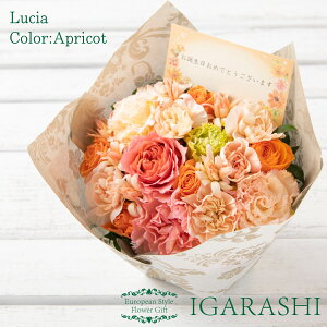 yԗDǃVbv34zy t[AWg ԑ z  Mtg a NX}X H ސE v[g t[ AW t[Mtg j JXj ސE  w  