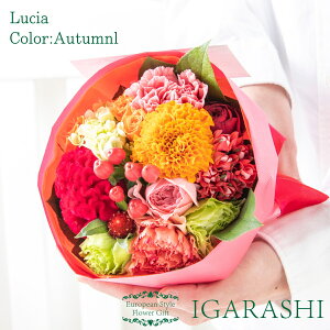 y t[AWg ԑ Gߏi z  Mtg a NX}X H ސE v[g AW o J[l[V u[P j 蕨  JXj ސE  w 