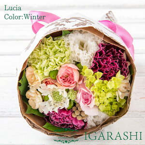 y t[AWg ԑ Gߏi z  Mtg a NX}X ~ ސE v[g AW o J[l[V u[P j 蕨  JXj ސE  w 