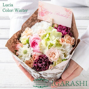 y t[AWg ԑ Gߏi z  Mtg a NX}X H ސE v[g AW o J[l[V u[P j 蕨  JXj ސE  w 