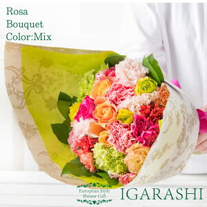 yԗDǃVbv34zy t[AWg ԑ z  Mtg a NX}X ~ ސE v[g AWg t[ o J[l[V u[P j 蕨 