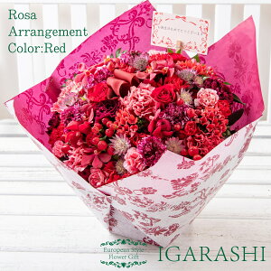 y t[AWg ԑ z  Mtg a nEB H ސE v[g AWg t[ o J[l[V u[P j 蕨  JXj ސE w җ