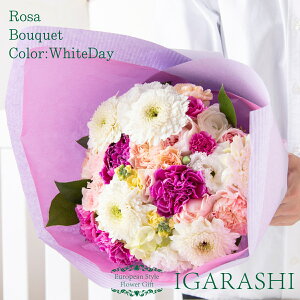 y t[AWg ԑ z  Mtg a NX}X ~ ސE v[g AWg t[ o J[l[V u[P j 蕨  JXj ސE w җ