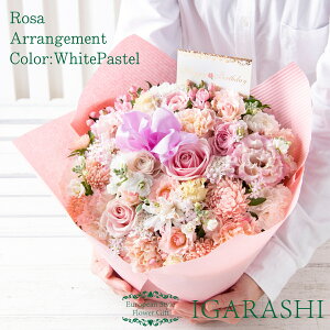 yԗDǃVbv34zy t[AWg ԑ z  Mtg a NX}X H ސE v[g AWg t[ o J[l[V u[P j 蕨 