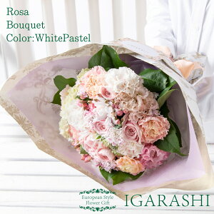 y t[AWg ԑ z  Mtg a NX}X H ސE v[g AWg t[ o J[l[V u[P j 蕨  JXj ސE w җ