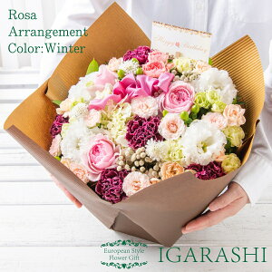 y t[AWg ԑ z  Mtg a NX}X H ސE v[g AWg t[ o J[l[V u[P j 蕨  JXj ސE w җ