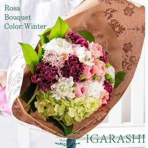 yԗDǃVbv34zy t[AWg ԑ z  Mtg a NX}X H ސE v[g AWg t[ o J[l[V u[P j 蕨 