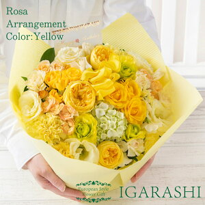 y t[AWg ԑ z  Mtg a NX}X H ސE v[g AWg t[ o J[l[V u[P j 蕨  JXj ސE w җ