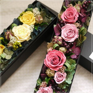 yz}VF/{bNXt[ vU[uht[ TvCYMtg uU[ht[ t[Mtg hV̓ ̓ AeB[N  o  킢 a j 