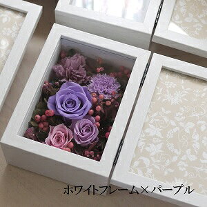 tHgt[CXg[/LO vU[uht[ Mtg uU[ht[ ăMtg tHgX^h ʐ^ hV̓ j o Mtg ʉ ̓ zCgf[ a