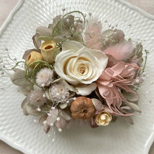 RT[W/tH[} Ǝ  w  t[ \ p[eB[ }}X[c i  Ă΂ fB[X ANZT[  a  vU[uht[ RT[W