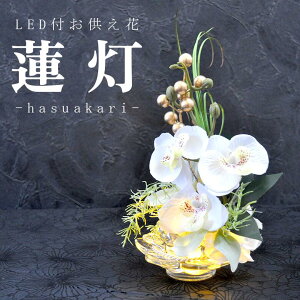 @̊ɓLEDLhƔӒ̋ԃAWy@-͂-z^bZ[WJ[h Mtg   낤  ~ ~  ފ O  O  @ 