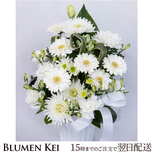   ԂCɂAW^y  摜zM bZ[WJ[h ʖ ʎ  ~ ~ ފ   l\ O   O yb