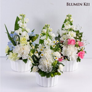      @[eBJAW^bZ[WJ[h 摜zM Mtg v[g ~ ~  ފ O  O  @ d m d 