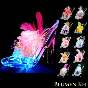 yԌ聙|vv[gzyvU[uht[Vf zKX̌C LEDCgt AWg v[g v|[Y LO Mtg O  j 