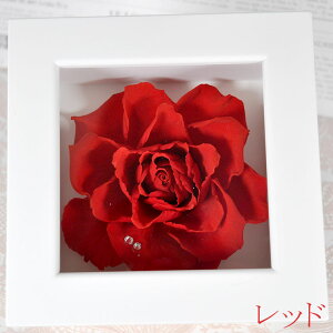 y z̓ A[Y t[AWg vU[uht[ Mtg v[g 蕨 a   ͂Ȃ  a ސEj j LO u