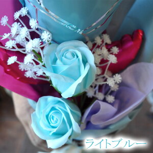 yzƏj wj \[vt[ o[t[ u[P t[Mtg  킢 ԑ v[g a ̓ LO ސEj j \ 蕨 