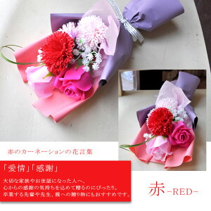 yz\[vu[PobO Əj wj \[vJ[l[V ~jobOt t[obOMtg t[AWg  킢 ԑ v[g a 