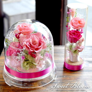  ̓ SweetBloom -XC[gu[- vU[uht[  t[h[ {g LO v[g Mtg j EFfBO a v|[Y j   