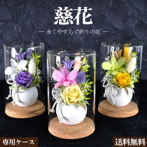    vU[uht[^ {gt[ bZ[WJ[h Mtg v[g ~ ~  ފ O  O  @ d m d A