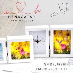 yHANAGATARIzLEDCgt t[tHgt[^NbNt[ Iׂ^Cv ^ʐ^ LO v[g Mtg j EFfBO a v|[Y j  