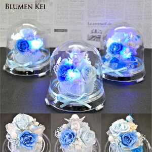  vU[uht[   u[VtHj[^̓ bZ[WJ[h LO v[g Mtg j EFfBO LED  VY Vw a v|[Y j 