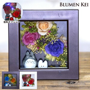 vU[uht[  LN^[t[^LO v[g Mtg j EFfBO a v|[Y j   LED  킢  t[ gg 