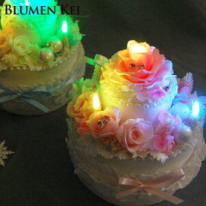 �������� ���� �t�����[�P�[�L 2�i�^ �G���K���g �v���|�[�Y �I���S�[�� �a���� �����j�� ������ �E�F���J���t�����[ �o�Y�j�� �L�O�� �d�� �j�d LED �V�z�j��