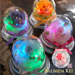  vU[uht[  WG[Y^̓ bZ[WJ[h LO v[g Mtg j EFfBO LED  VY Vw a v|[Y j   