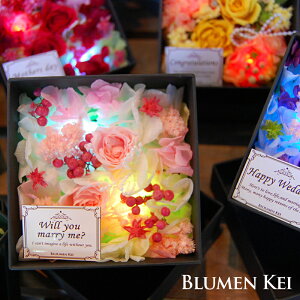 y|Cg10{11/15`11/27܂Łz vU[uht[ Mtg  v` {bNXt[^y  bZ[WJ[ht t[{bNX BOX av[g  j